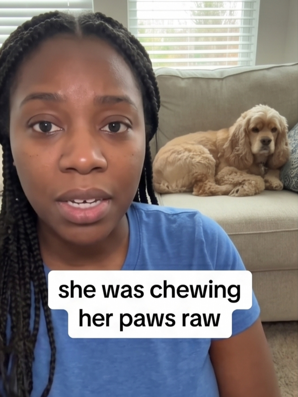 No More Paw Licking