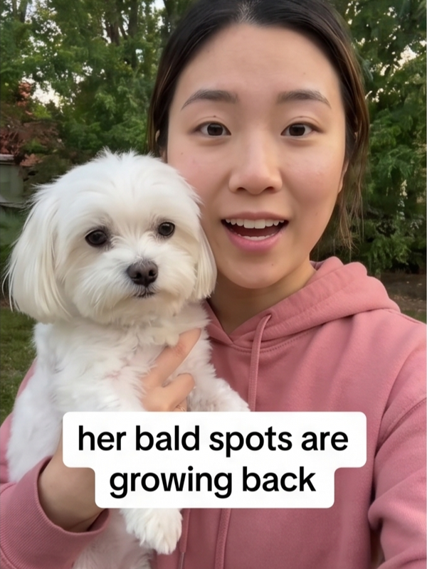 Fur Growing Back In